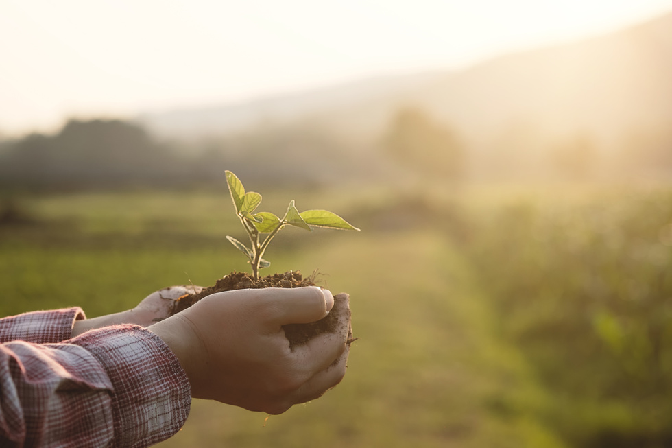 Soil Cultivated Dirt, Earth, Ground, Agriculture Field Land Back